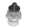 MAGNETI MARELLI 352316170042 Water Pump